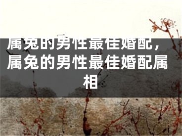 属兔的男性最佳婚配，属兔的男性最佳婚配属相