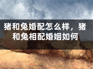 猪和兔婚配怎么样，猪和兔相配婚姻如何