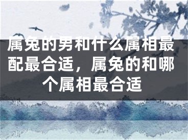 属兔的男和什么属相最配最合适，属兔的和哪个属相最合适