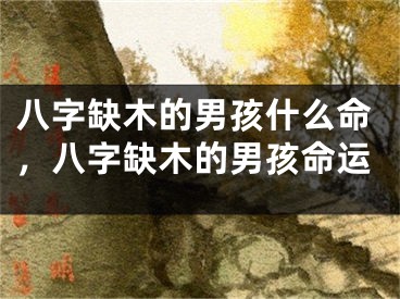 八字缺木的男孩什么命，八字缺木的男孩命运