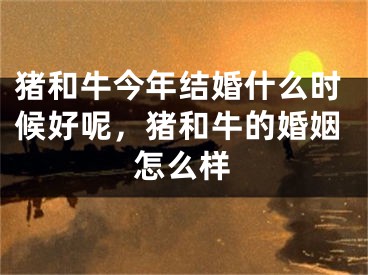 猪和牛今年结婚什么时候好呢，猪和牛的婚姻怎么样