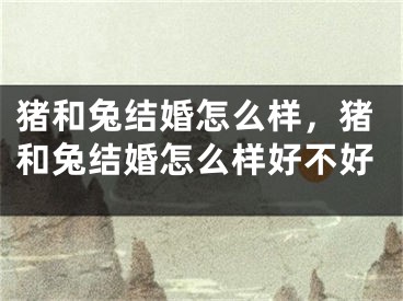 猪和兔结婚怎么样，猪和兔结婚怎么样好不好