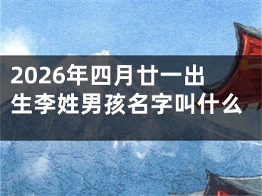 2026年四月廿一出生李姓男孩名字叫什么