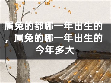 属兔的都哪一年出生的，属兔的哪一年出生的今年多大