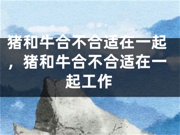 猪和牛合不合适在一起,猪和牛合不合适在一起工作