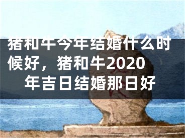 猪和牛今年结婚什么时候好,猪和牛2020年吉日结婚那日好