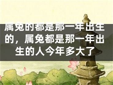 属兔的都是那一年出生的，属兔都是那一年出生的人今年多大了