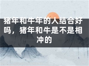 猪年和牛年的人结合好吗,猪年和牛是不是相冲的
