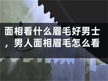面相看什么眉毛好男士，男人面相眉毛怎么看