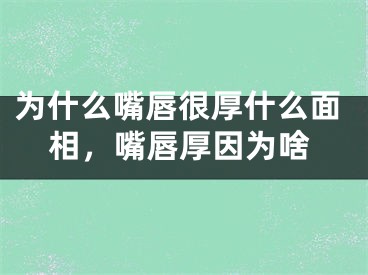 为什么嘴唇很厚什么面相,嘴唇厚因为啥