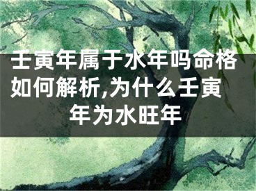 壬寅年属于水年吗命格如何解析,为什么壬寅年为水旺年