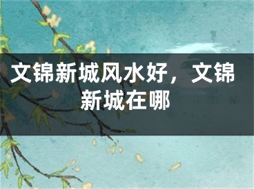 文锦新城风水好，文锦新城在哪