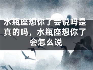 水瓶座想你了会说吗是真的吗，水瓶座想你了会怎么说