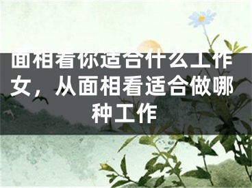 面相看你适合什么工作女,从面相看适合做哪种工作