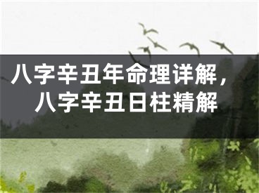 八字辛丑年命理详解,八字辛丑日柱精解