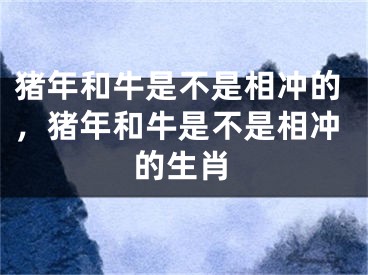 猪年和牛是不是相冲的，猪年和牛是不是相冲的生肖