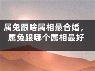 属兔跟啥属相最合婚，属兔跟哪个属相最好