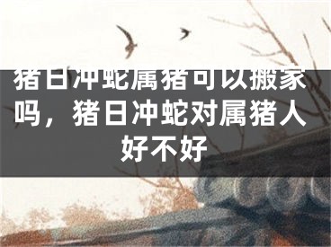 猪日冲蛇属猪可以搬家吗，猪日冲蛇对属猪人好不好