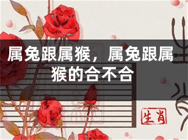 属兔跟属猴，属兔跟属猴的合不合