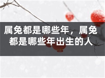 属兔都是哪些年，属兔都是哪些年出生的人