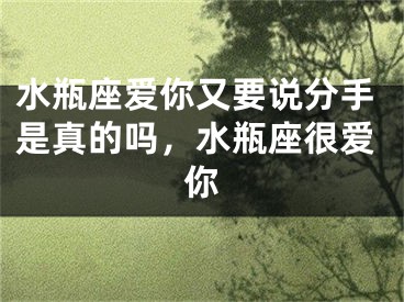 水瓶座爱你又要说分手是真的吗，水瓶座很爱你