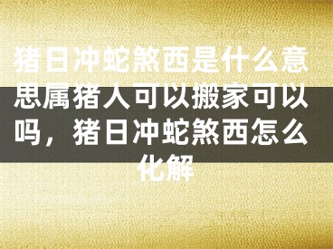 猪日冲蛇煞西是什么意思属猪人可以搬家可以吗，猪日冲蛇煞西怎么化解