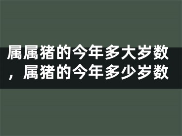 属属猪的今年多大岁数，属猪的今年多少岁数
