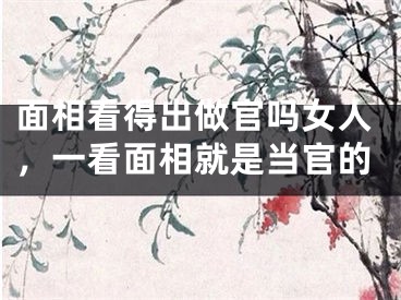 面相看得出做官吗女人,一看面相就是当官的