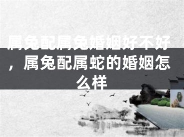 属兔配属兔婚姻好不好，属兔配属蛇的婚姻怎么样