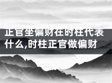 正官坐偏财在时柱代表什么,时柱正官做偏财