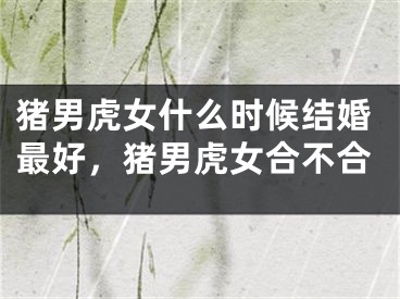 猪男虎女什么时候结婚最好,猪男虎女合不合
