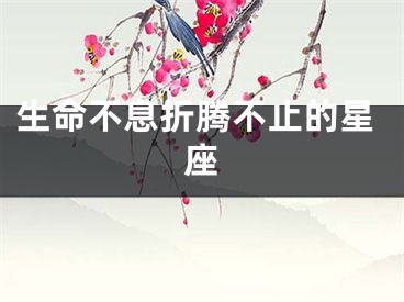 生命不息折腾不止的星座