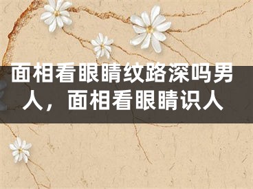 面相看眼睛纹路深吗男人,面相看眼睛识人