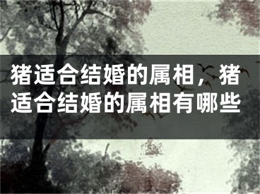 猪适合结婚的属相，猪适合结婚的属相有哪些