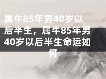 属牛85年男40岁以后半生,属牛85年男40岁以后半生命运如何
