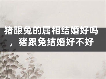 猪跟兔的属相结婚好吗，猪跟兔结婚好不好