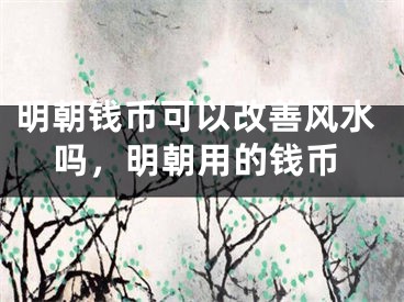 明朝钱币可以改善风水吗，明朝用的钱币
