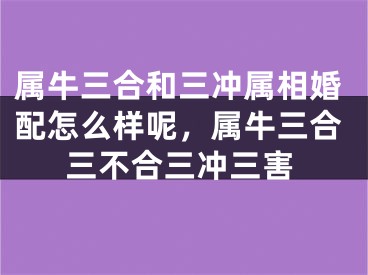 属牛三合和三冲属相婚配怎么样呢，属牛三合三不合三冲三害