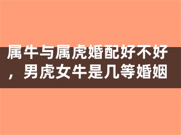 属牛与属虎婚配好不好，男虎女牛是几等婚姻