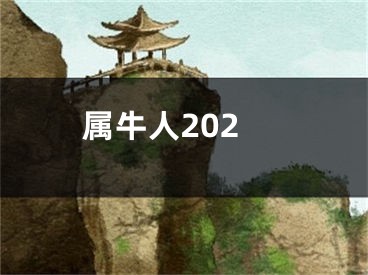 属牛人202
