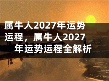 属牛人2027年运势运程,属牛人2027年运势运程全解析