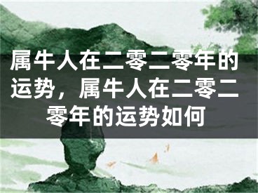 属牛人在二零二零年的运势,属牛人在二零二零年的运势如何