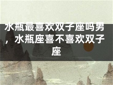 水瓶最喜欢双子座吗男，水瓶座喜不喜欢双子座