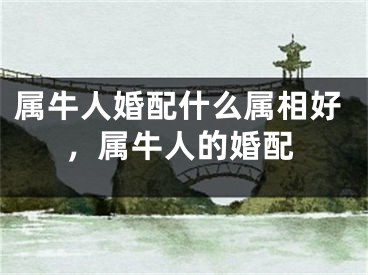 属牛人婚配什么属相好，属牛人的婚配