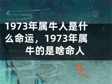 1973年属牛人是什么命运，1973年属牛的是啥命人