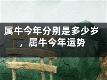 属牛今年分别是多少岁，属牛今年运势
