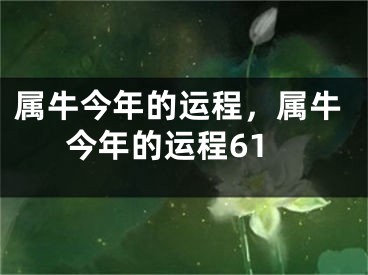 属牛今年的运程，属牛今年的运程61