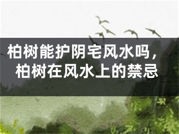 柏树能护阴宅风水吗，柏树在风水上的禁忌