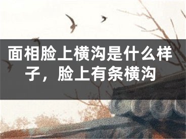 面相脸上横沟是什么样子，脸上有条横沟