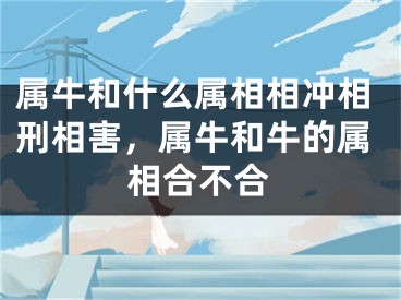 属牛和什么属相相冲相刑相害，属牛和牛的属相合不合